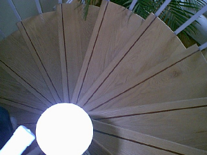 spiralstaircase.jpg