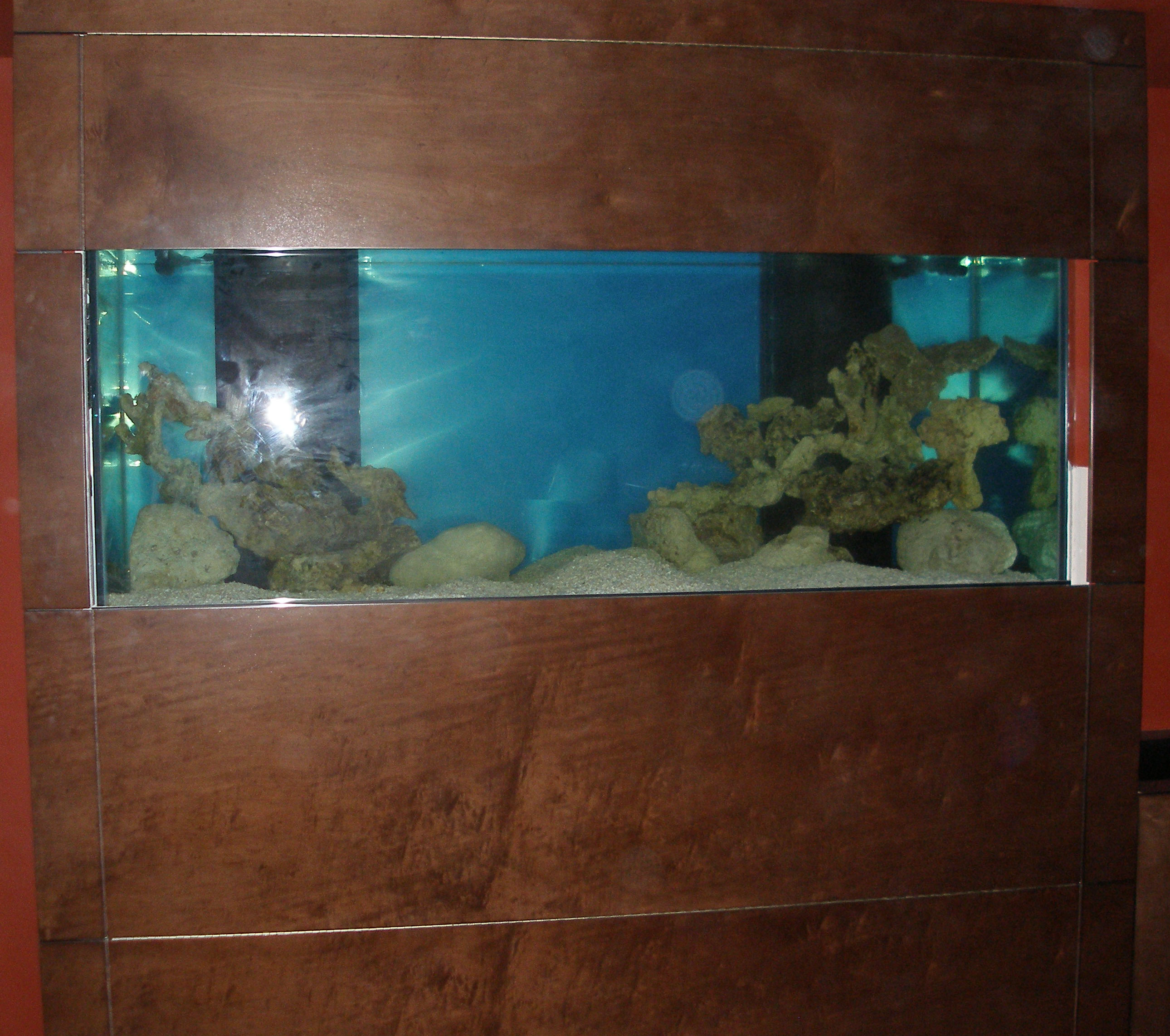 aquarium2.jpg